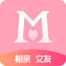 天空體育：各方期望趕快完結梅里諾買賣，讓球員趕上對布萊頓競賽
